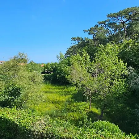 Pause Luzienne A Deux Pas De La Apartment