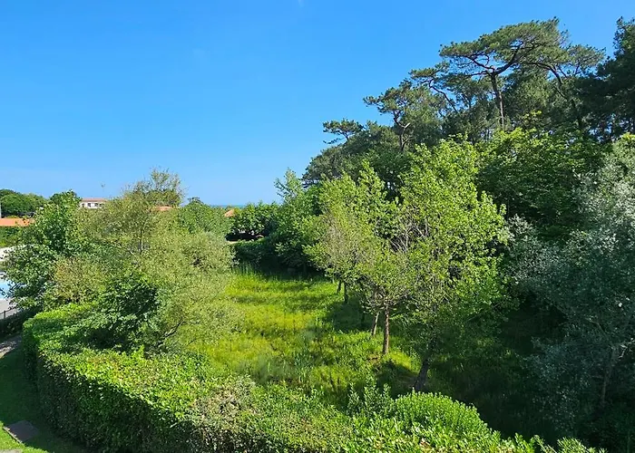 Pause Luzienne A Deux Pas De La Lejlighed